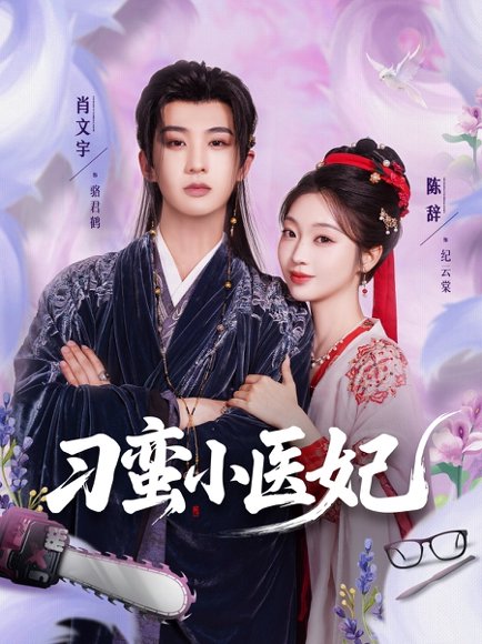 刁蛮小医妃（72集）肖文宇&陈辞 高清完整版