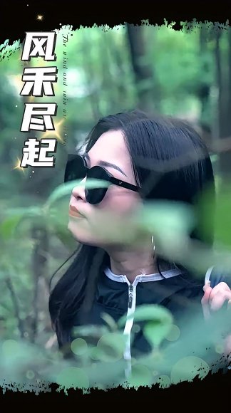 风禾尽起（31集） 高清完整版